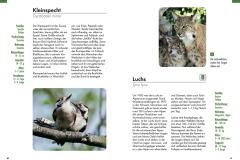 Alpenzoo_1-scaled